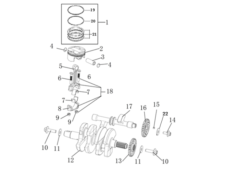 E08 ΣΤΡΟΦΑΛΟΣ & ΠΙΣΤΟΝΙ