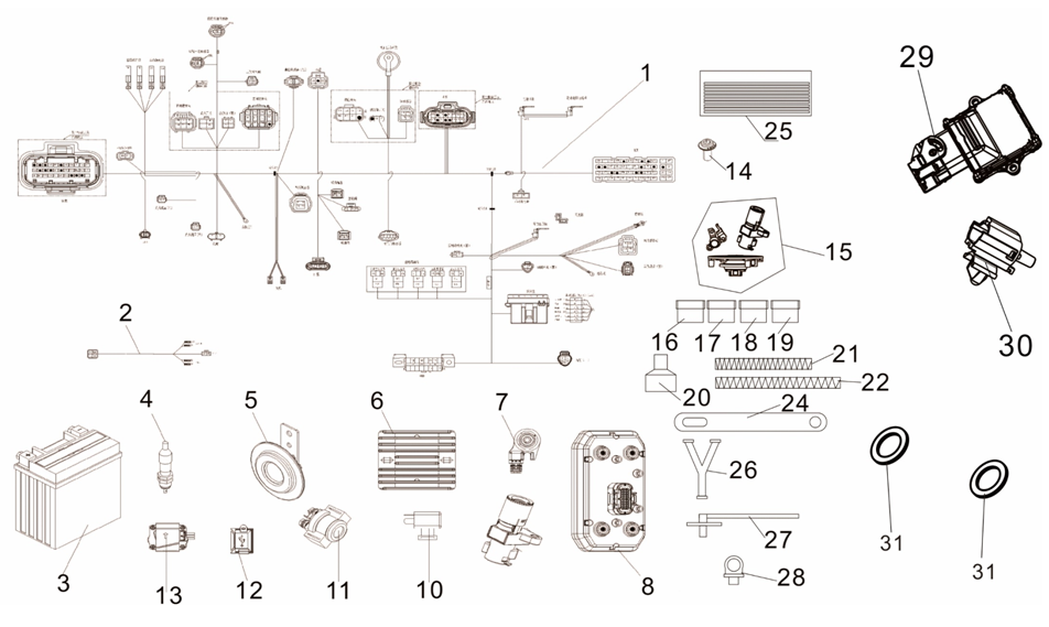 F21 ΚΑΛΩΔΙΩΣΗ & ΗΛΕΚΤΡΙΚΑ ΜΕΡΗ