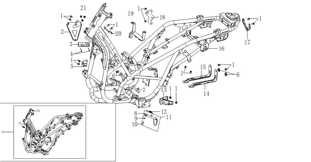 F01 ΣΚΕΛΕΤΟΣ
